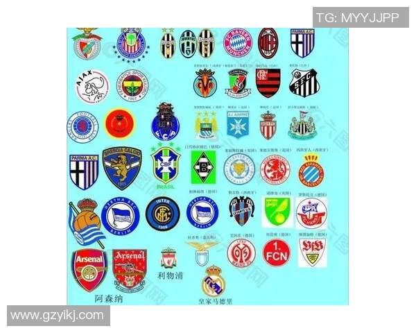 全球各国足球队徽标志全景展示与解析汇总