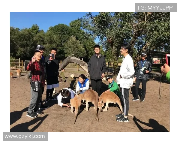 我会踢足球英语学习之旅从基础到流利的实用技巧与方法