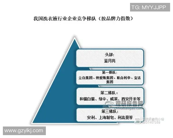 探索足球牌子奥的品牌魅力与市场影响力分析